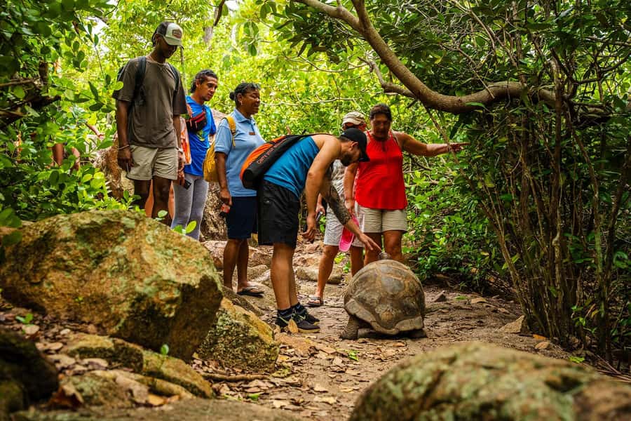 Seychelles: St Pierre and Curieuse Catamaran Tour with Lunch - Anse Georgette: the final beach reward
