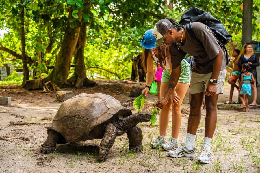 Seychelles: St Pierre and Curieuse Catamaran Tour with Lunch - What to pack for this 7 to 8 hour day
