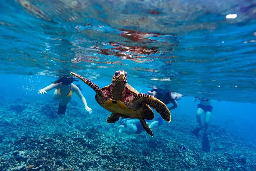 Sister, Coco, and Felicite Island: Seychelles Catamaran Tour - Key points to know before booking