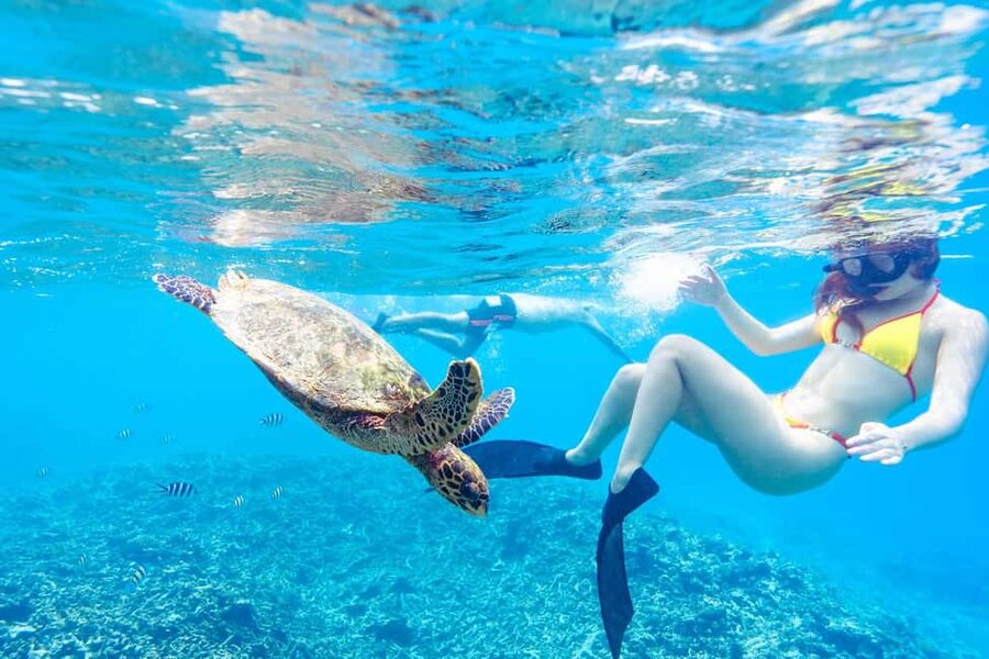 Sister, Coco, and Felicite Island: Seychelles Catamaran Tour - Practical advice for a smoother sea day