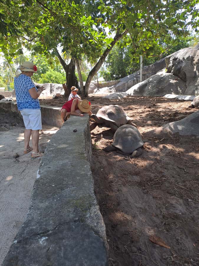 St. Anne Marine Park, Moyenne & Cerf Island Tour with Lunch - Cerf Island turns lunch into part of the experience