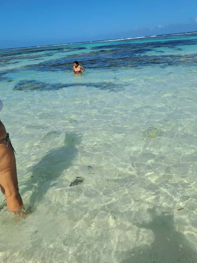 St. Anne Marine Park, Moyenne & Cerf Island Tour with Lunch - The second snorkeling stop near Cerf Island