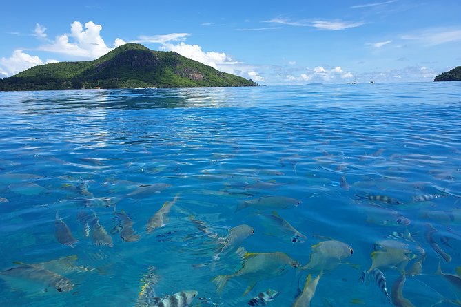St Anne Marine Park & Moyenne Island, Creole Lunch (Private Boat) - Afternoon choices shaped by tide and weather