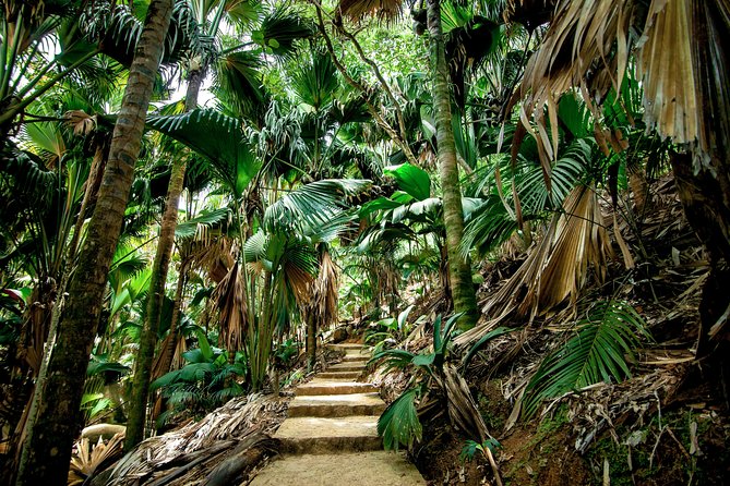 Vallee de Mai Tour (From Praslin) - Key points to know before booking