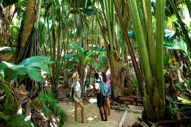 Vallee de Mai Tour (From Praslin) - What you can see during the 2-hour-30-minute walk