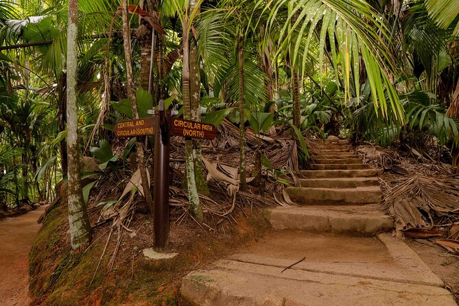 Vallee de Mai Tour (From Praslin) - Pickup from your Praslin accommodation