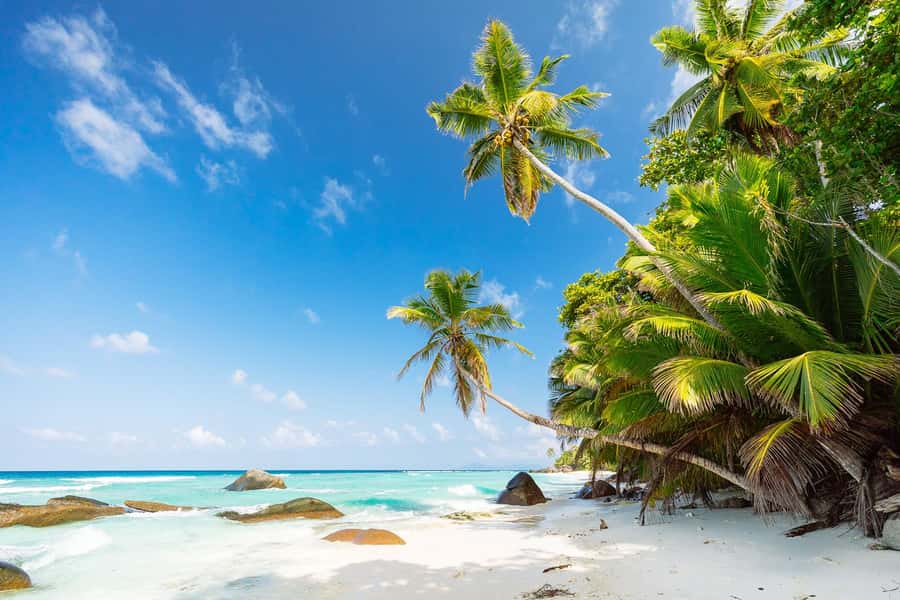 Victoria: Seychelles Mahe Island Tour - Key points at a glance