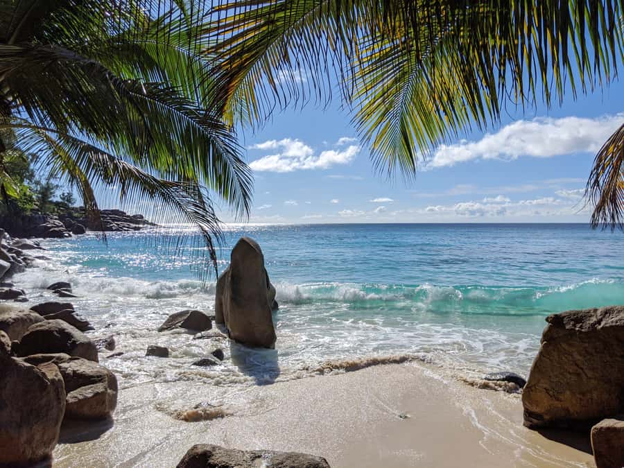 Victoria: Seychelles Mahe Island Tour - Markets, shopping, and a more personal route