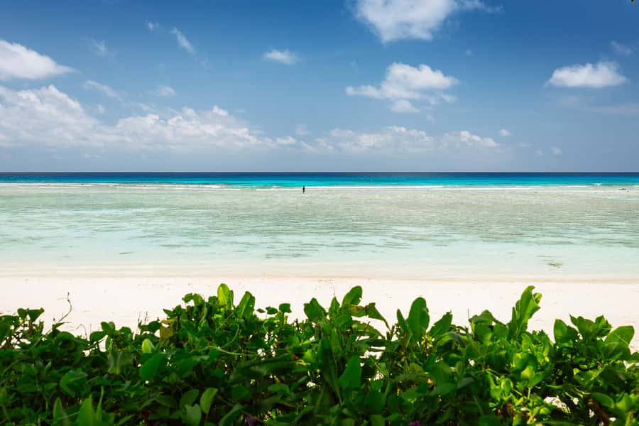 Victoria: Seychelles Mahe Island Tour - How long should you book?
