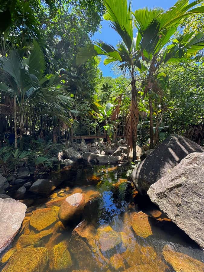 Victoria: Seychelles Mahe Island Tour - Who will get the most from this tour?